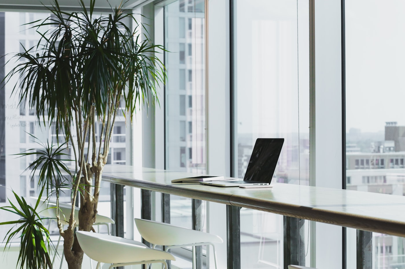 Espace de travail lumineux et végétalisé